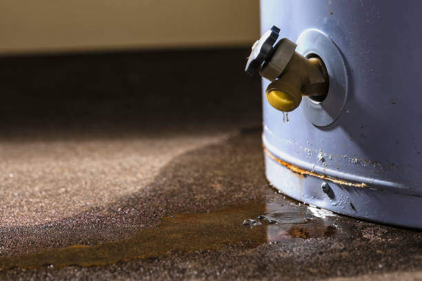 Best Emergency water damage restoration  in Lauderdale Lakes, FL