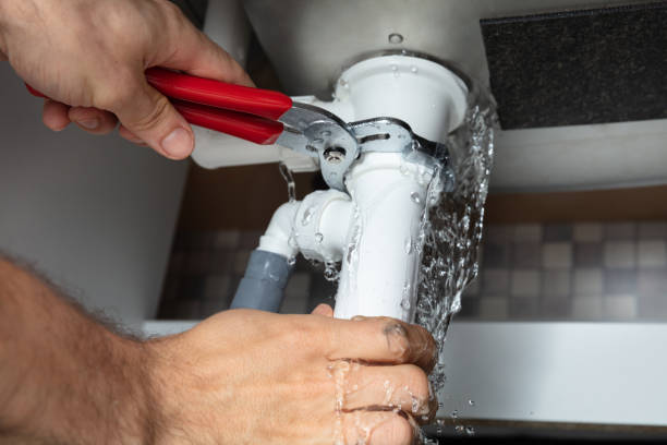 Best Mold removal after water damage  in Lauderdale Lakes, FL