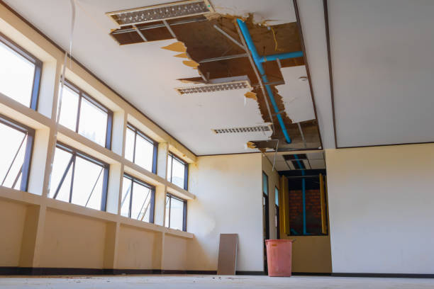 Best Flood damage cleanup  in Lauderdale Lakes, FL