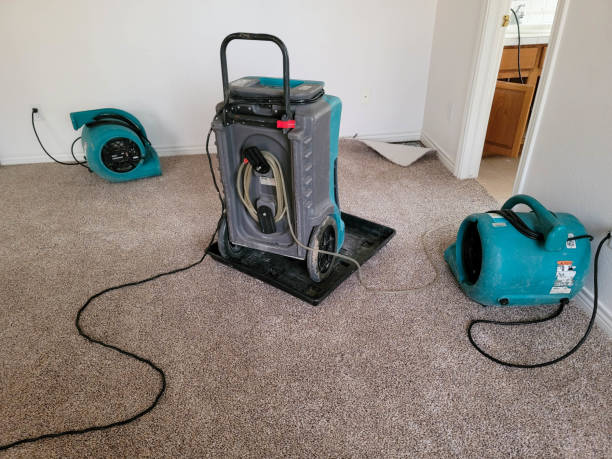 Best Professional water damage repair  in Lauderdale Lakes, FL