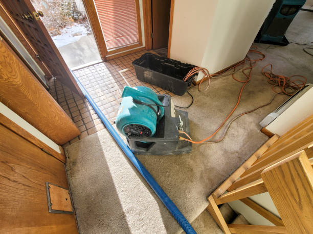 Best Sewage cleanup and water damage restoration  in Lauderdale Lakes, FL