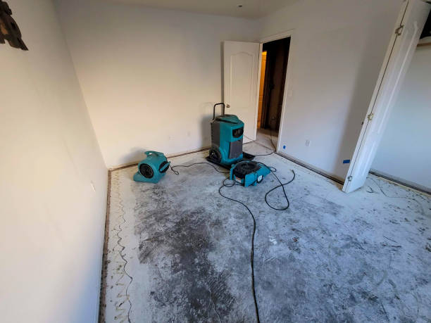Best Flood damage cleanup  in Lauderdale Lakes, FL