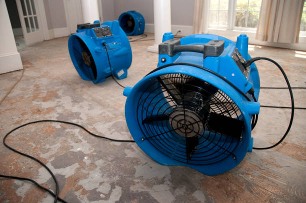 Best Professional water damage repair  in Lauderdale Lakes, FL