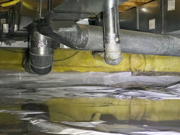 Best Water damage restoration insurance claims  in Lauderdale Lakes, FL