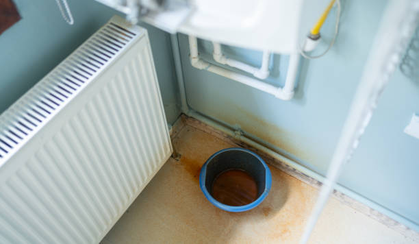 Best Flood restoration services  in Lauderdale Lakes, FL