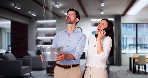 Best Carpet water damage restoration  in Lauderdale Lakes, FL
